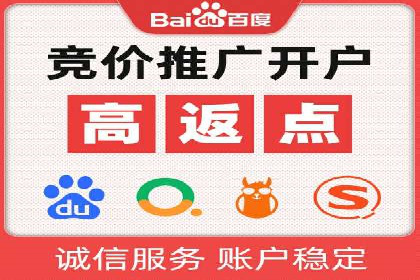 百度广告推广案例解析